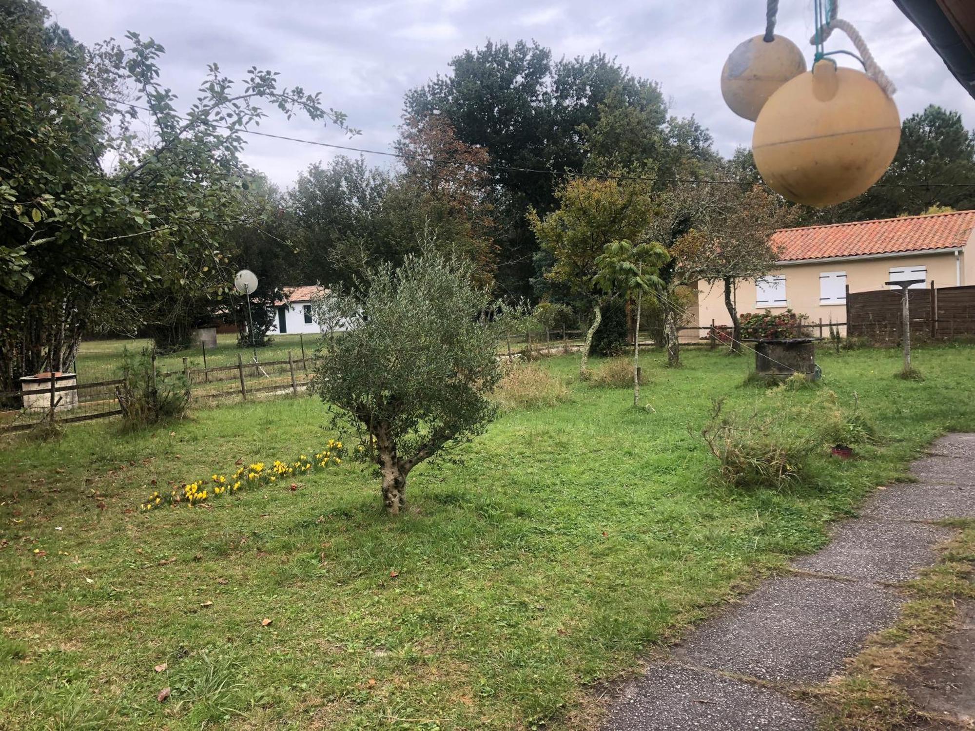 Petite Maison Rustique Et Atypique הורטין מראה חיצוני תמונה